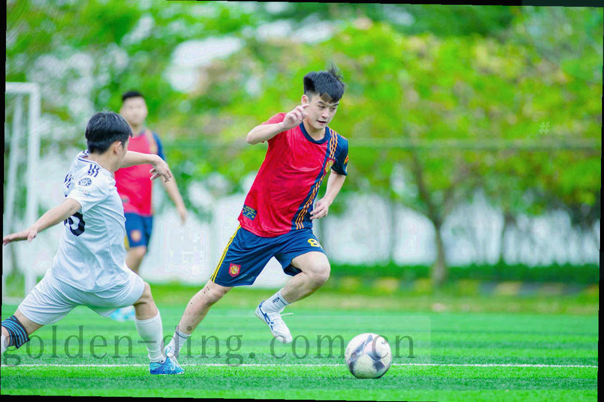 屏风与茶台细节的局部特写，强调材质与光影